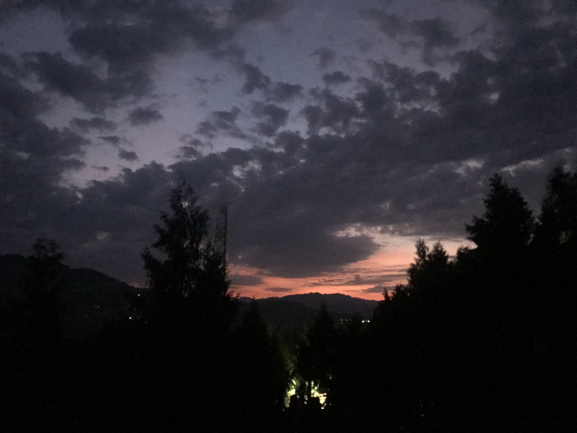 壁山森林公园旅行图片 1