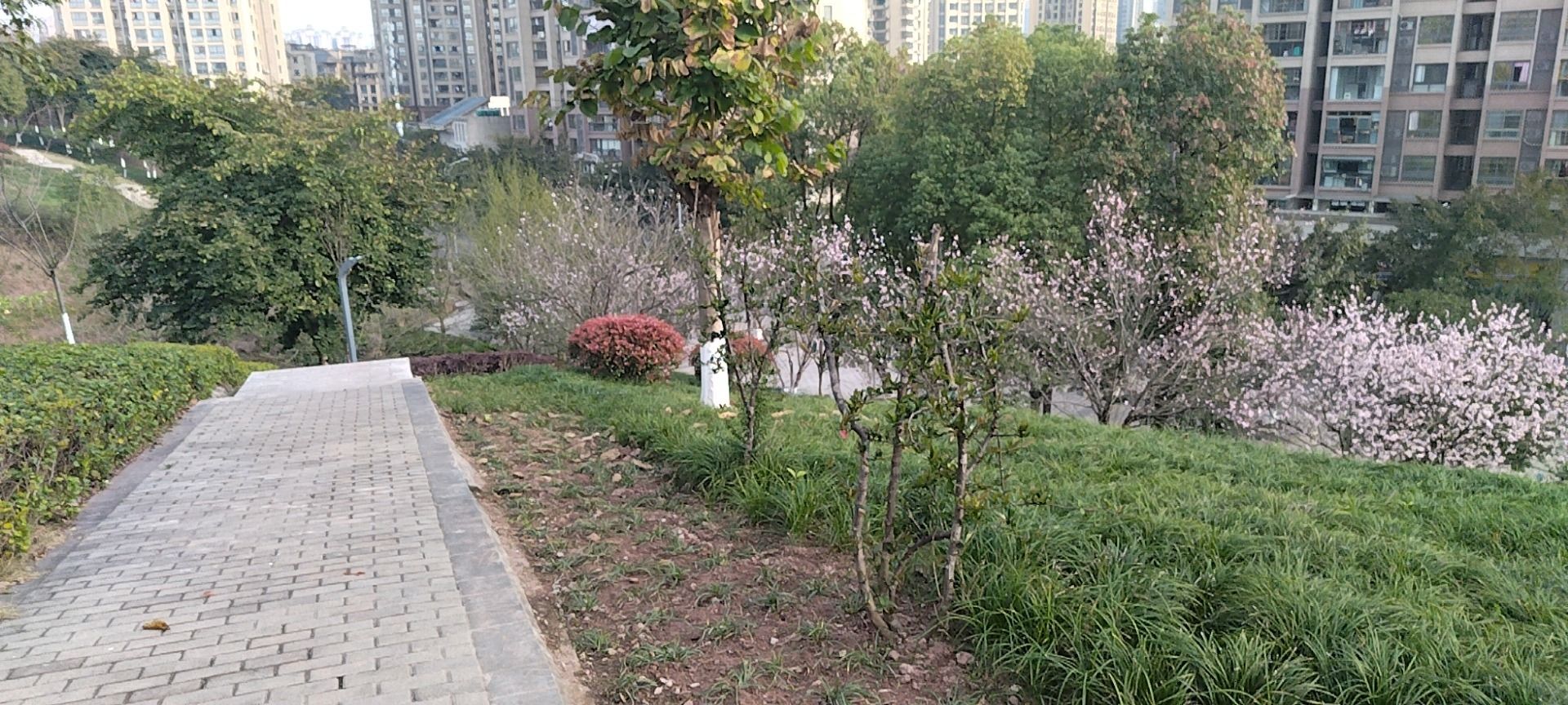 北环公园旅行图片 2
