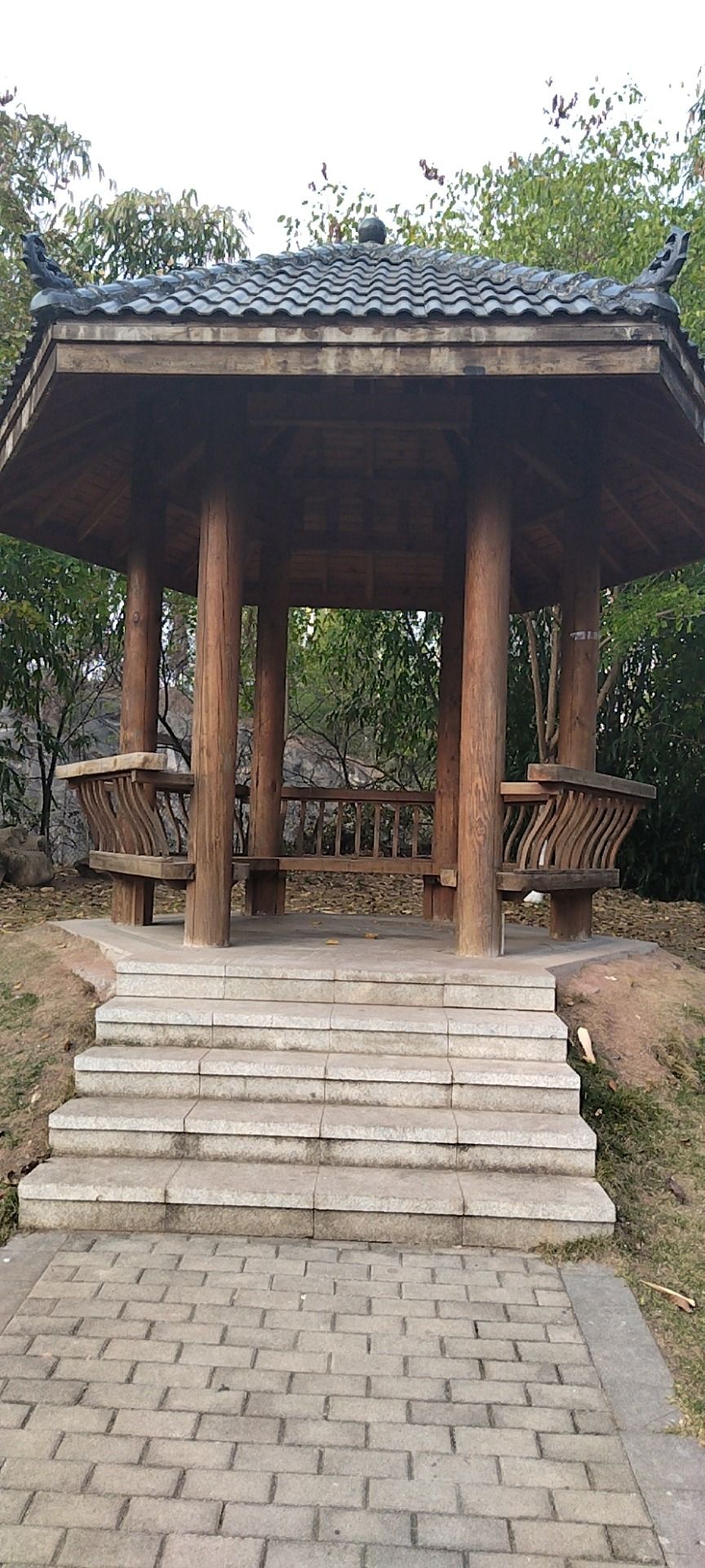 北环公园旅行图片 1