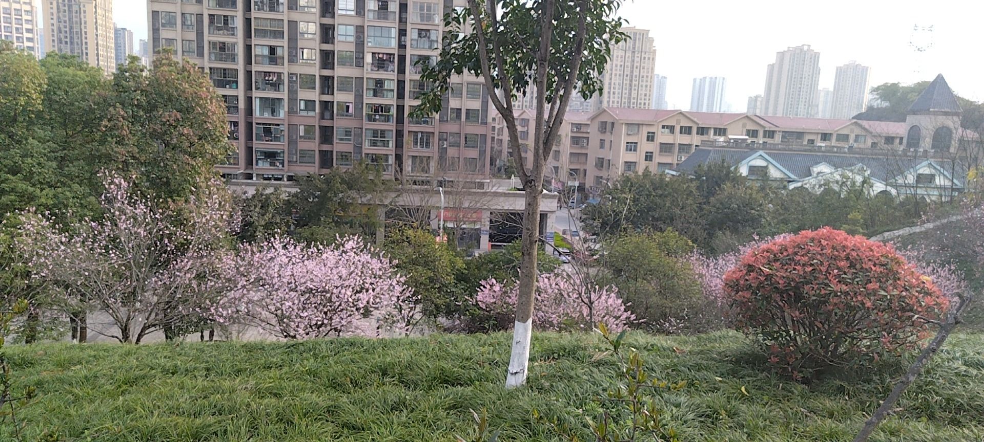 北环公园旅行图片 3