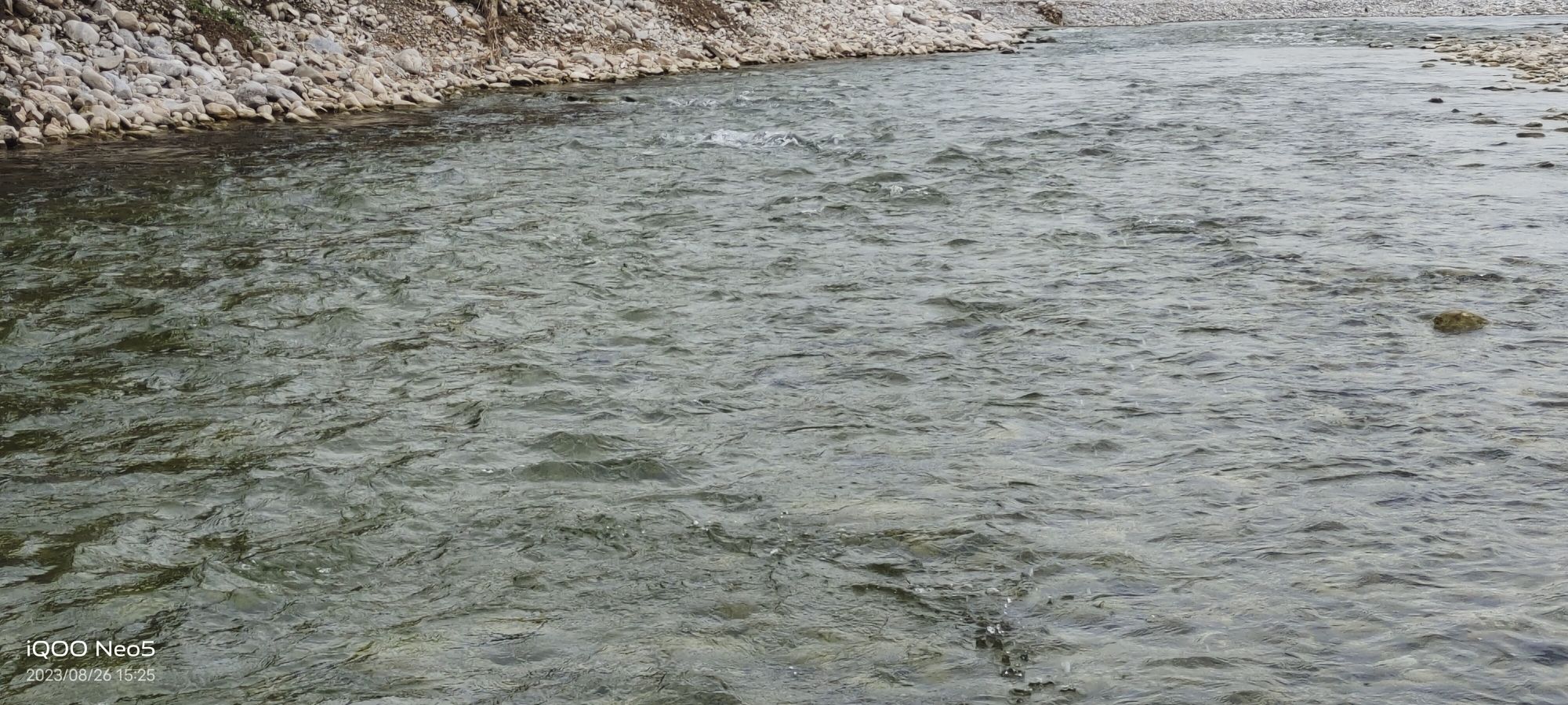 坨南花海旅行图片 2