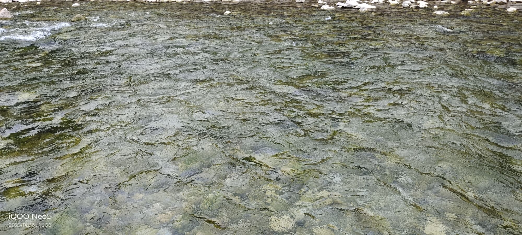坨南花海旅行图片 3