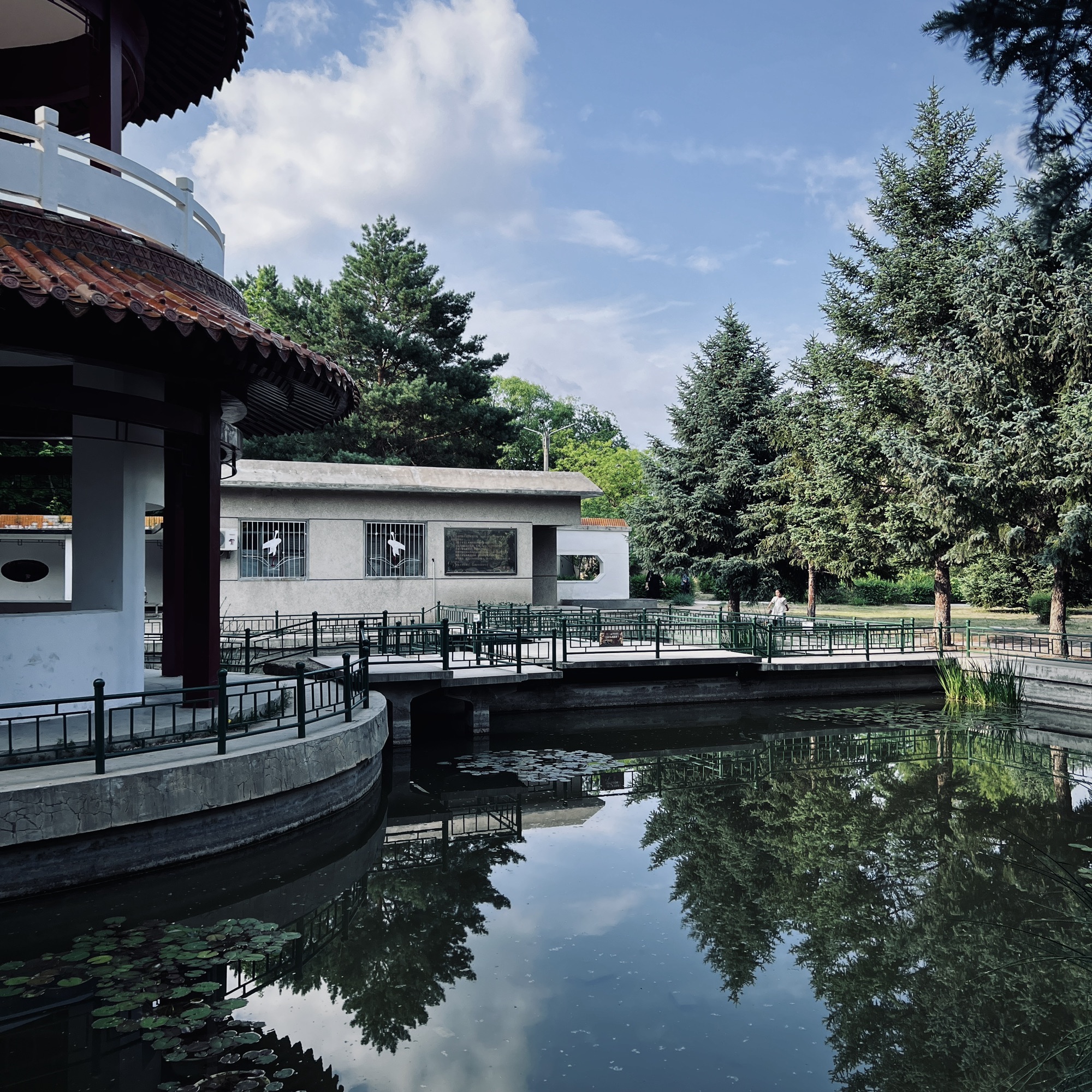 院中园旅行图片 2