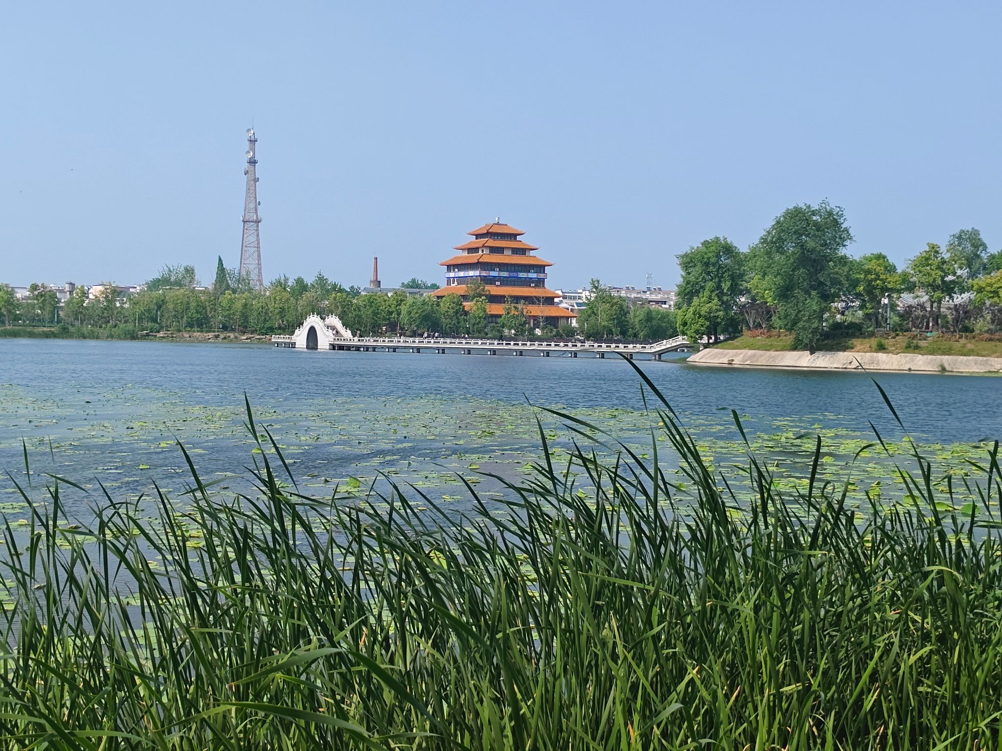 走读淮河文化园旅行图片 1