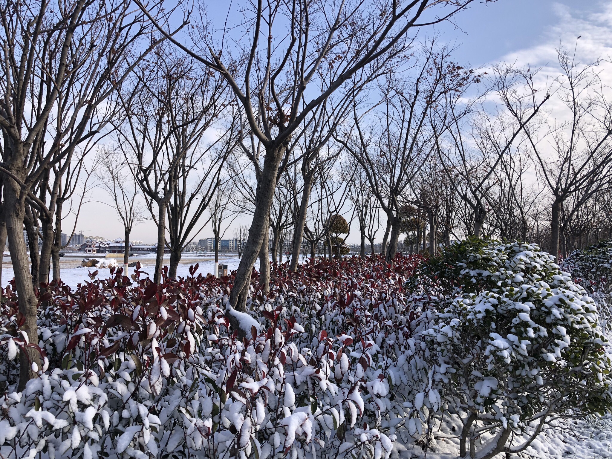 走读淮河文化园旅行图片 3
