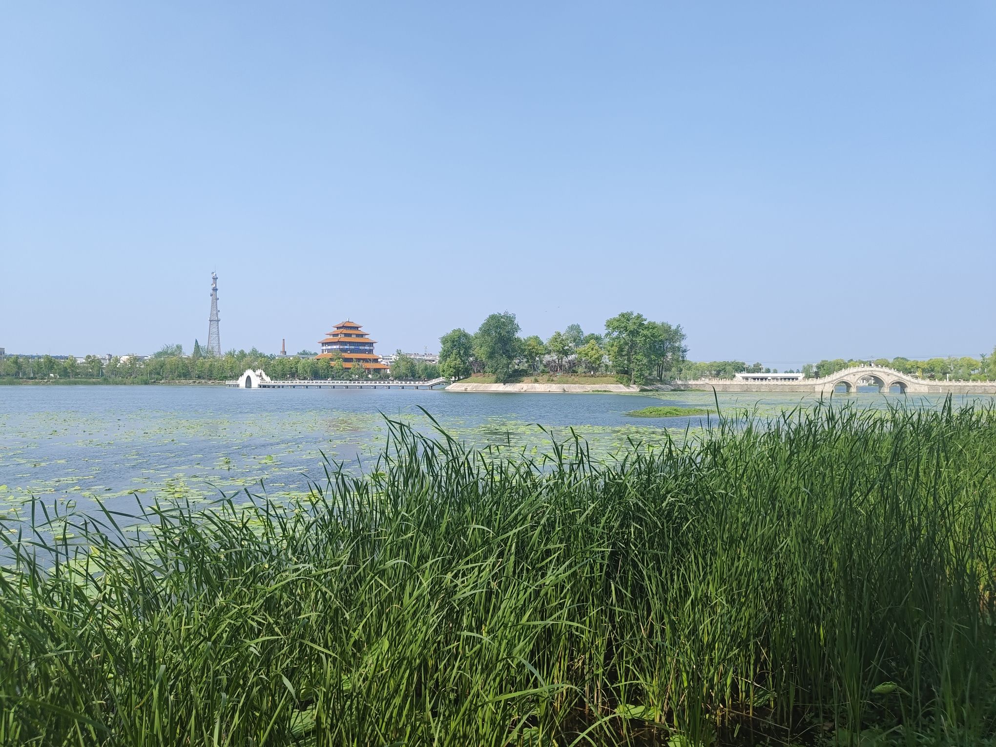 走读淮河文化园旅行图片 2