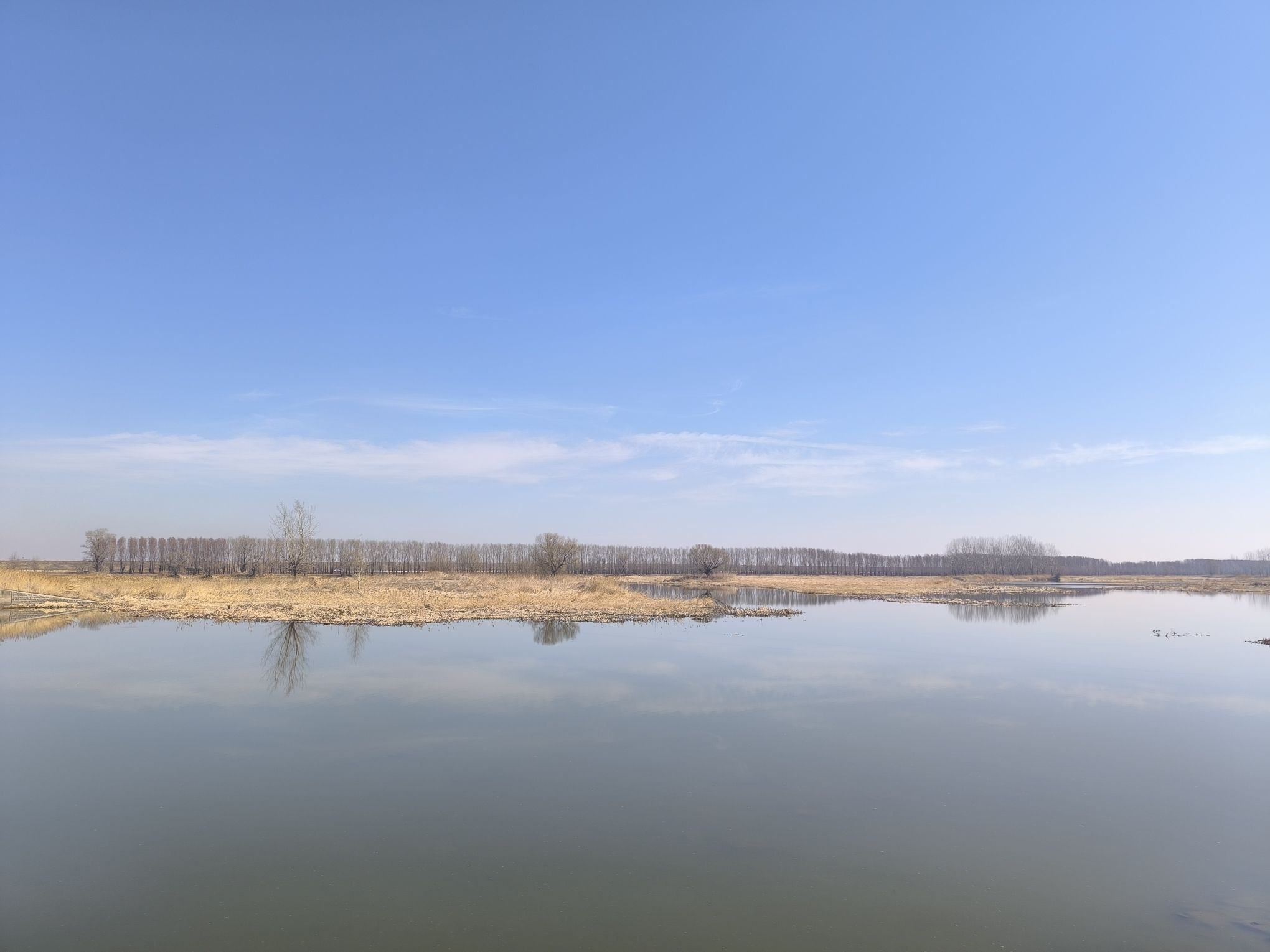 七星国家湿地公园旅行图片 3
