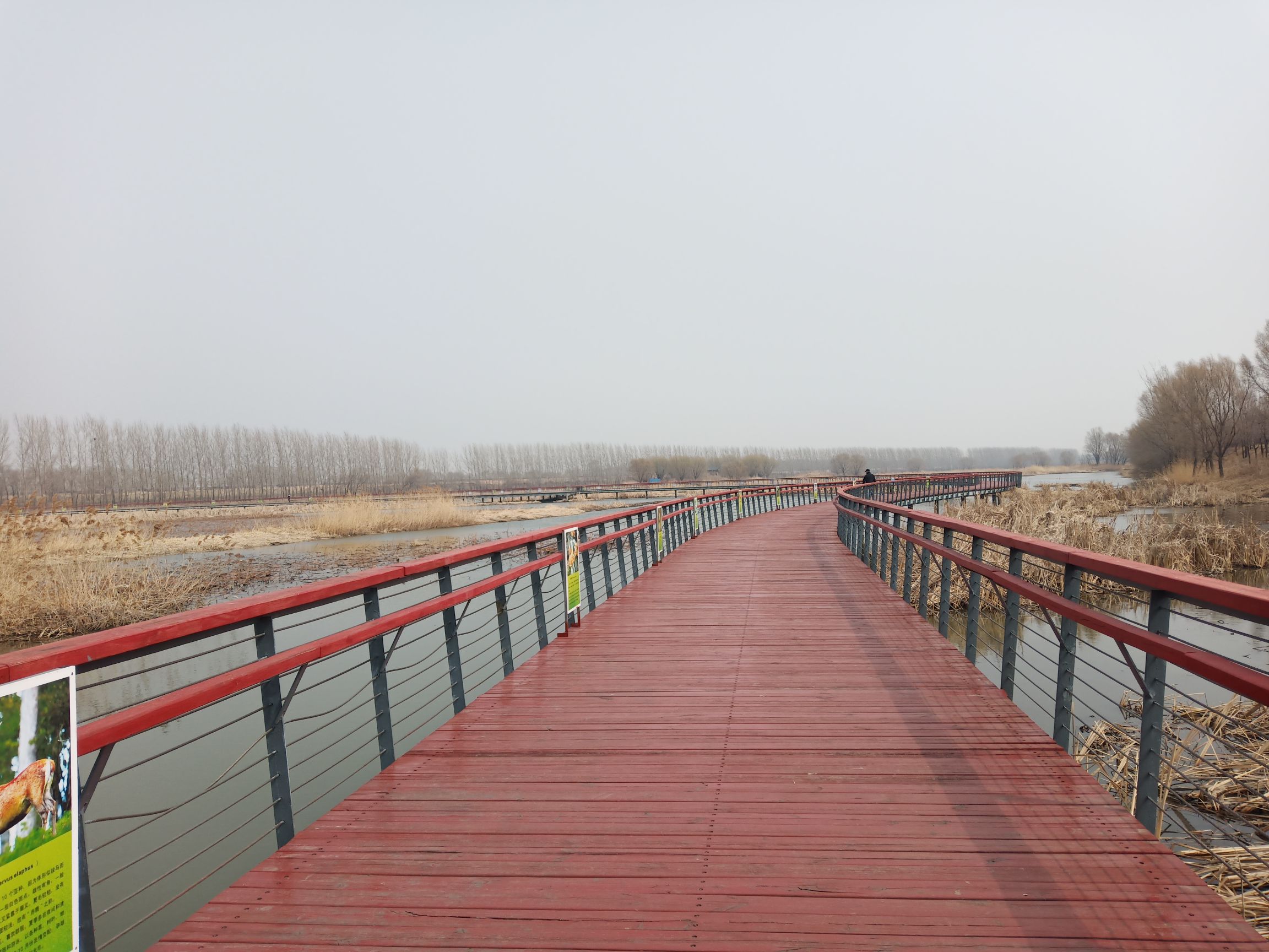 七星国家湿地公园旅行图片 3
