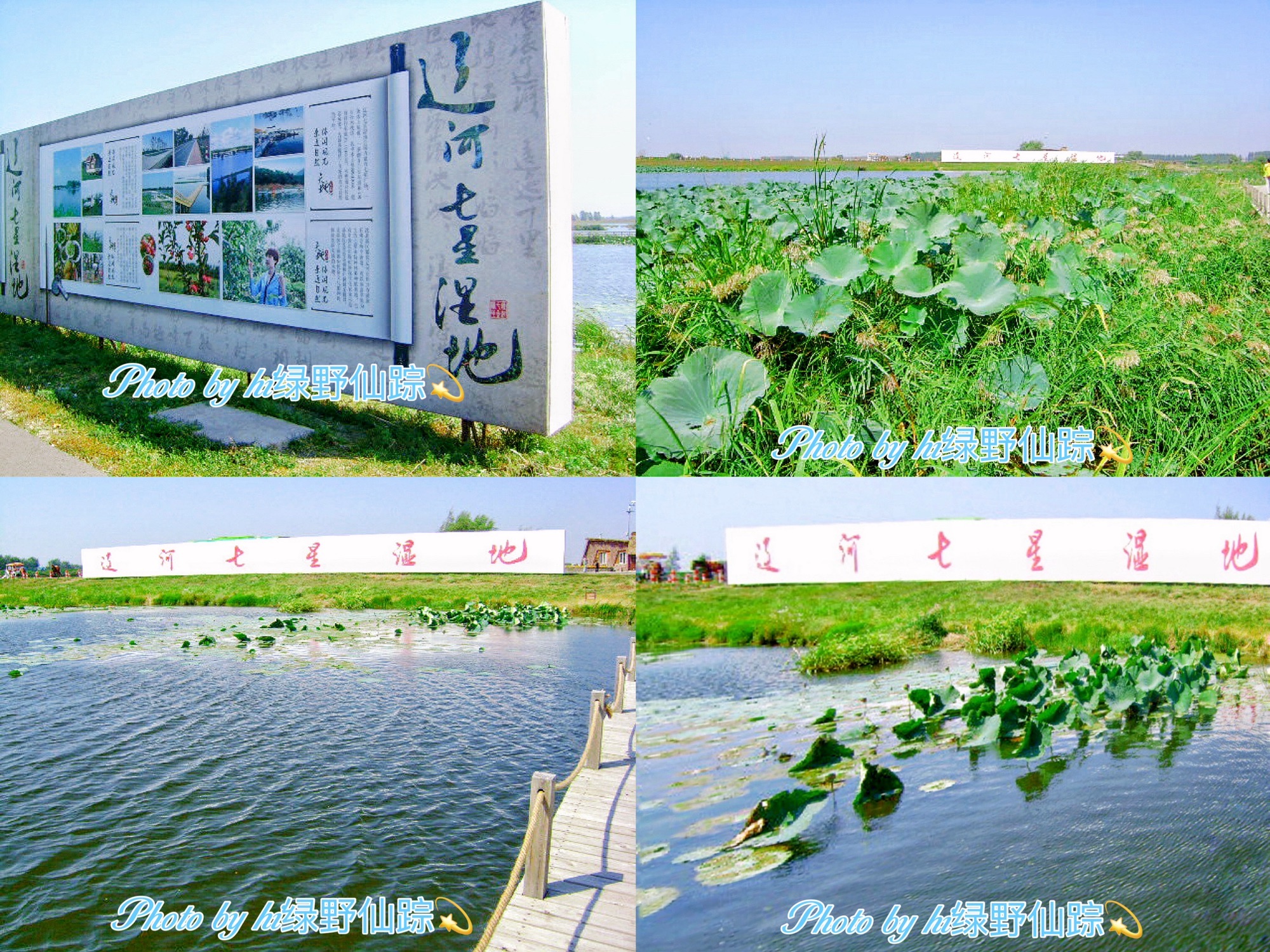 七星国家湿地公园旅行图片 1