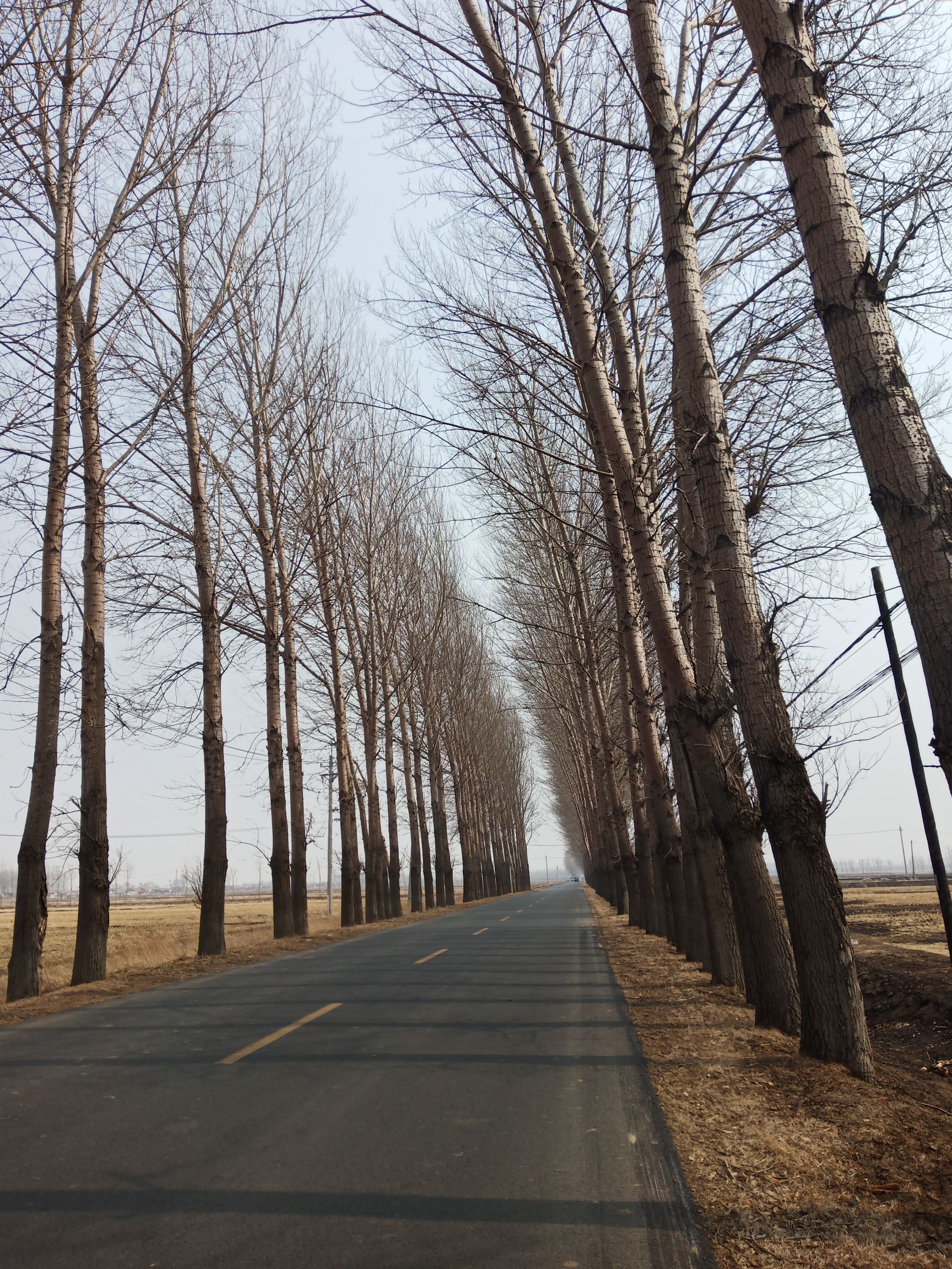 七星国家湿地公园旅行图片 1