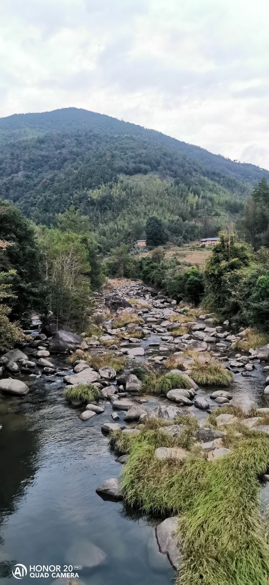 平茶寮碑旅行图片 3