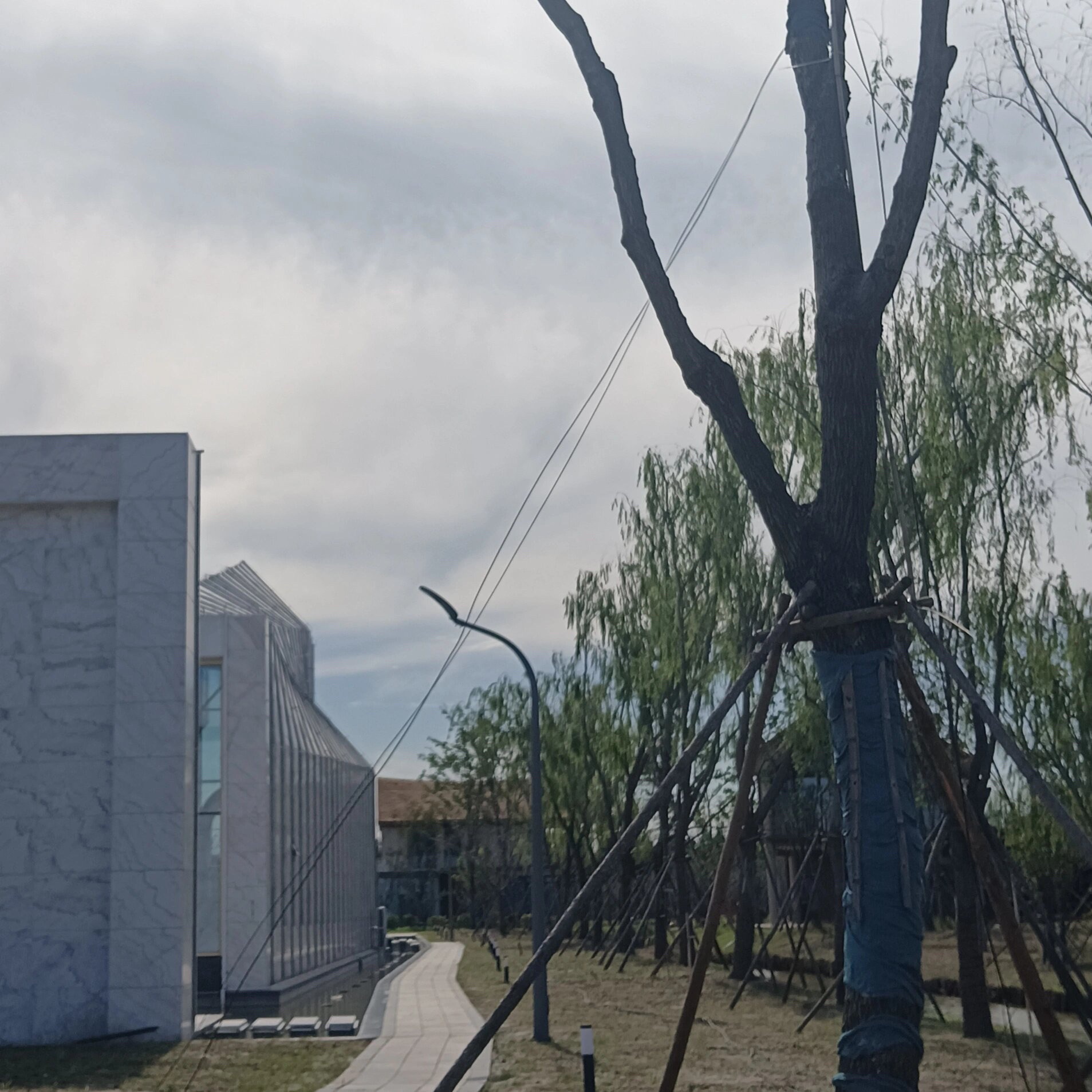 射阳日月岛康养旅游度假区旅行图片 2