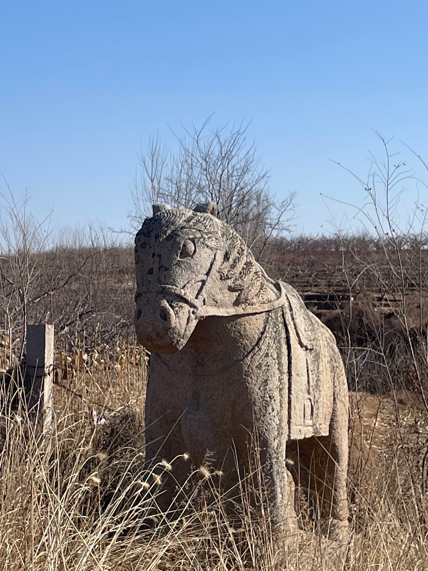 朱梅墓旅行图片 2