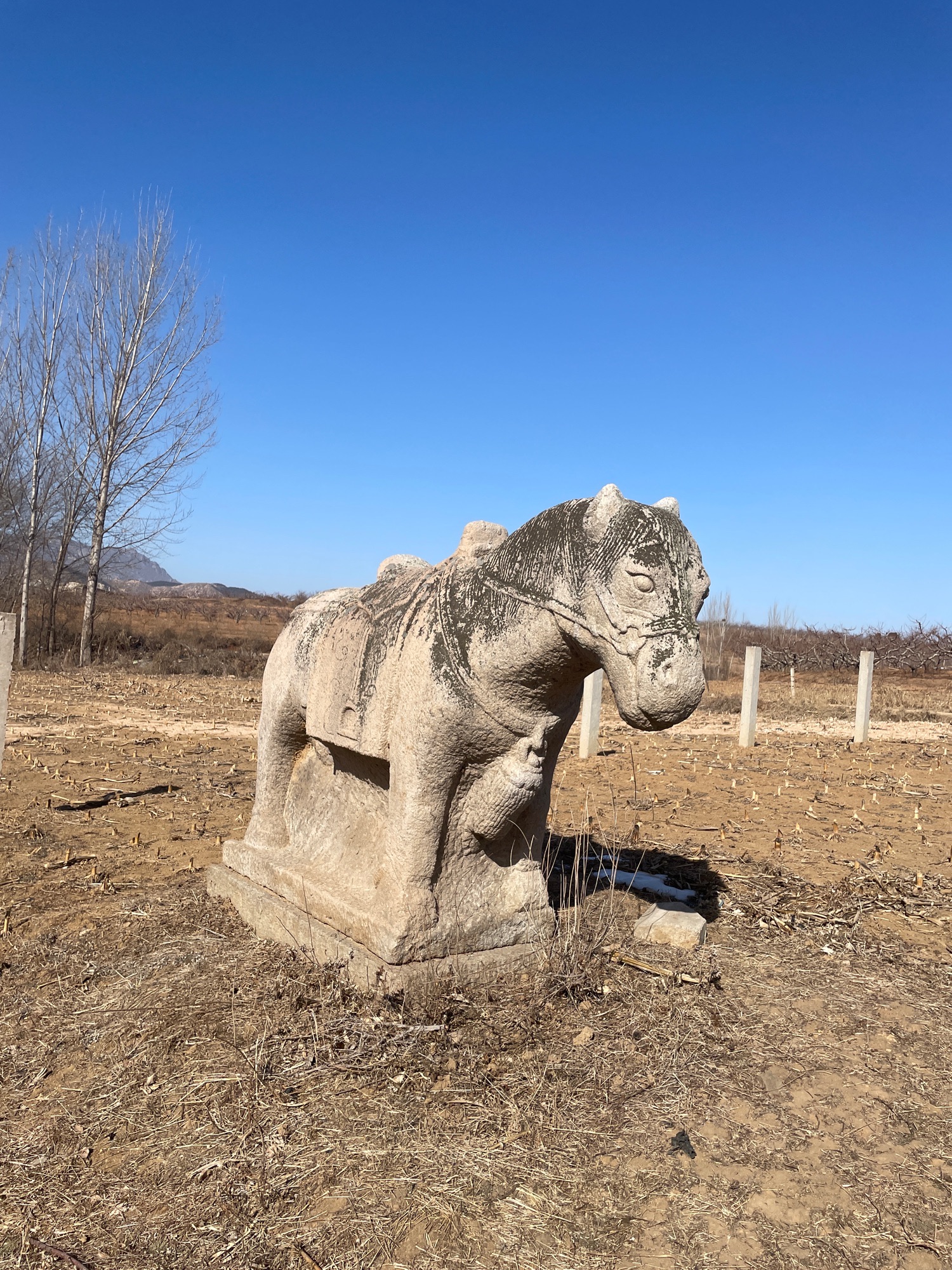 朱梅墓旅行图片 1