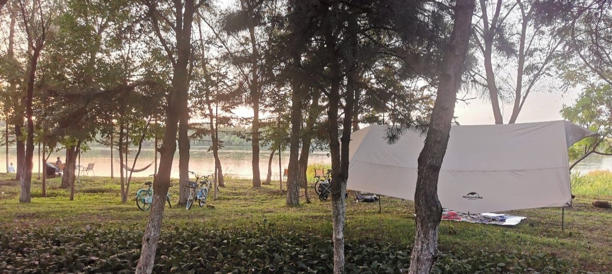 长青湾公园旅行图片 3