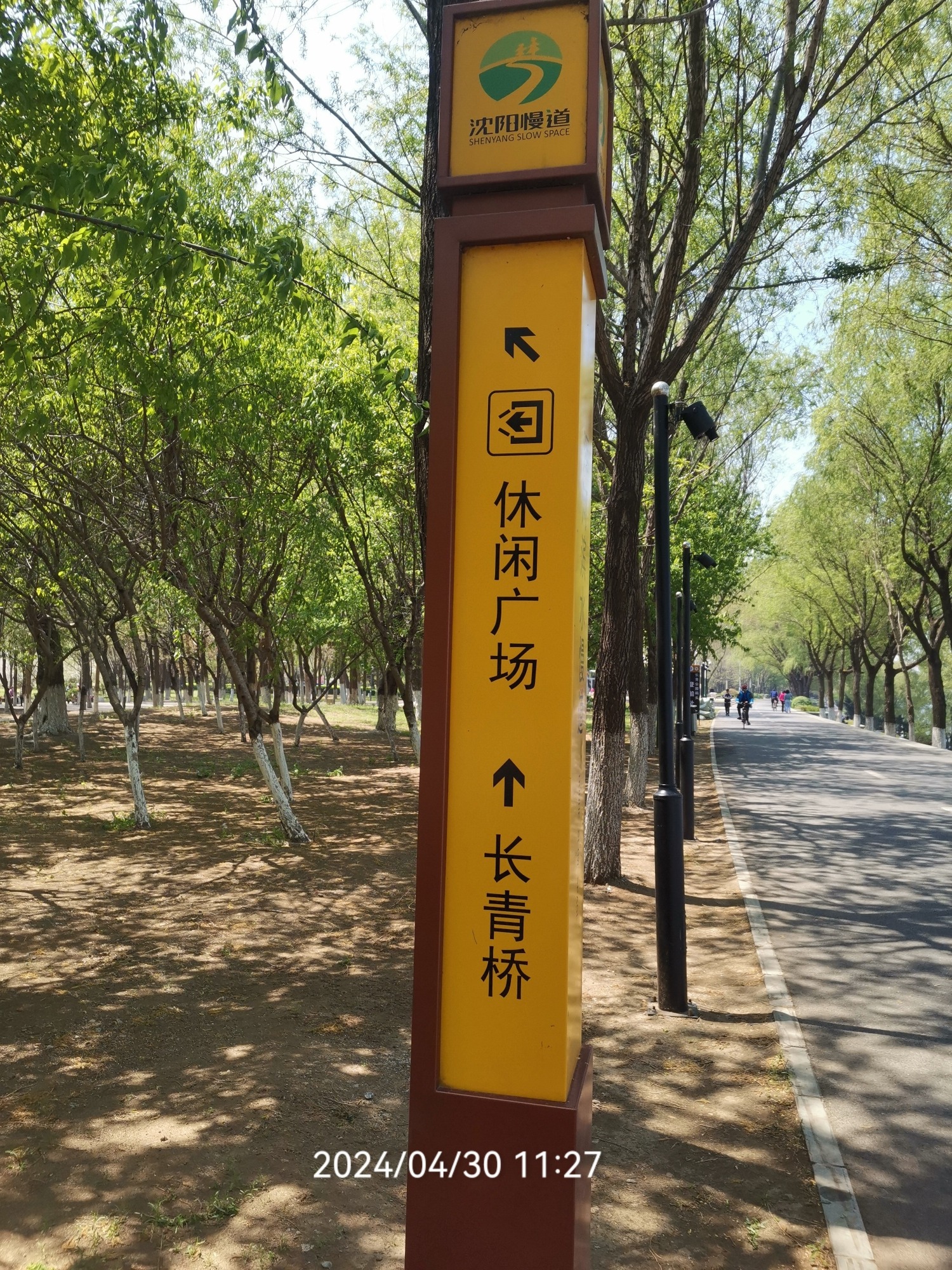 长青湾公园旅行图片 3