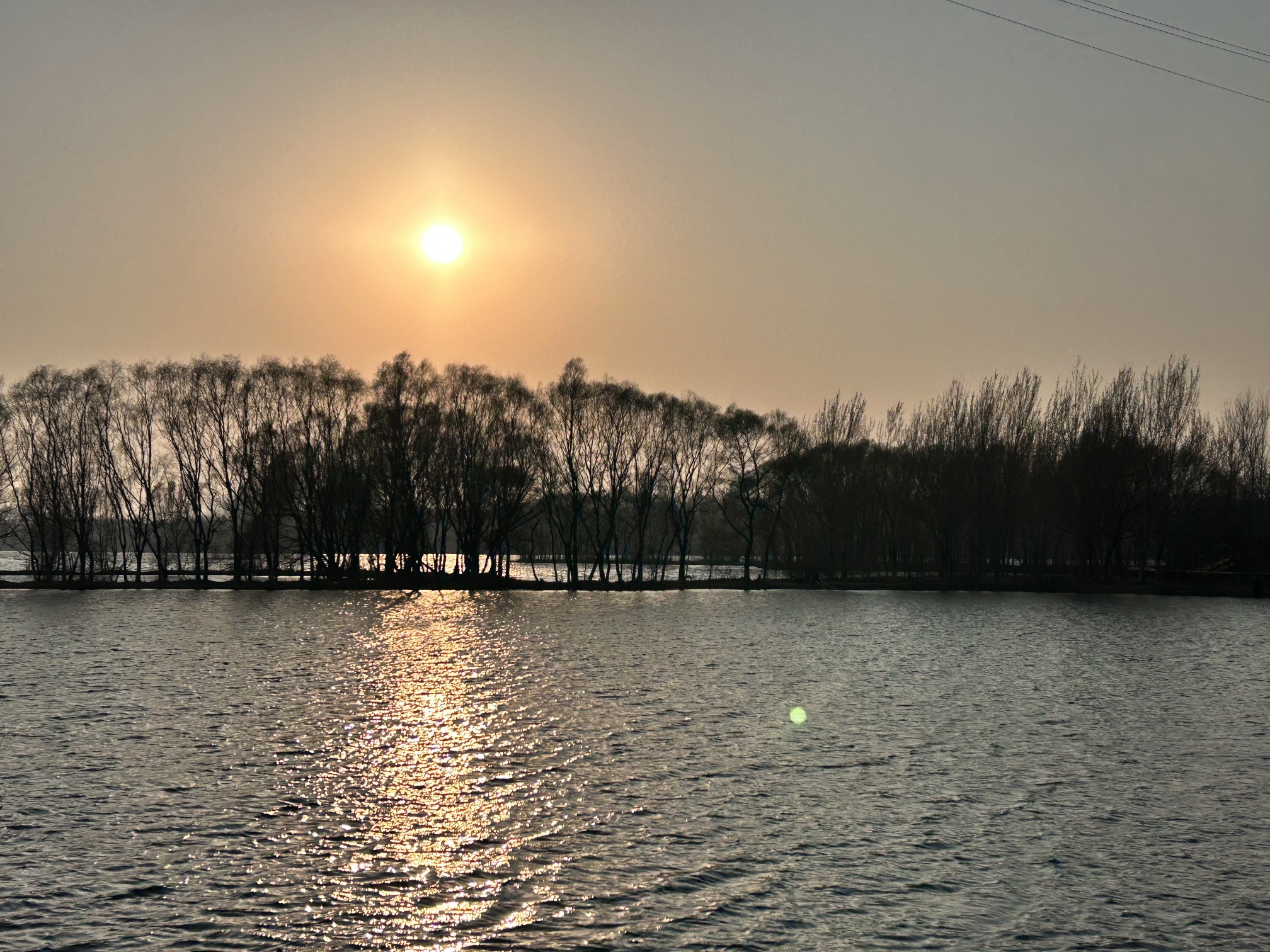 长青湾公园旅行图片 2