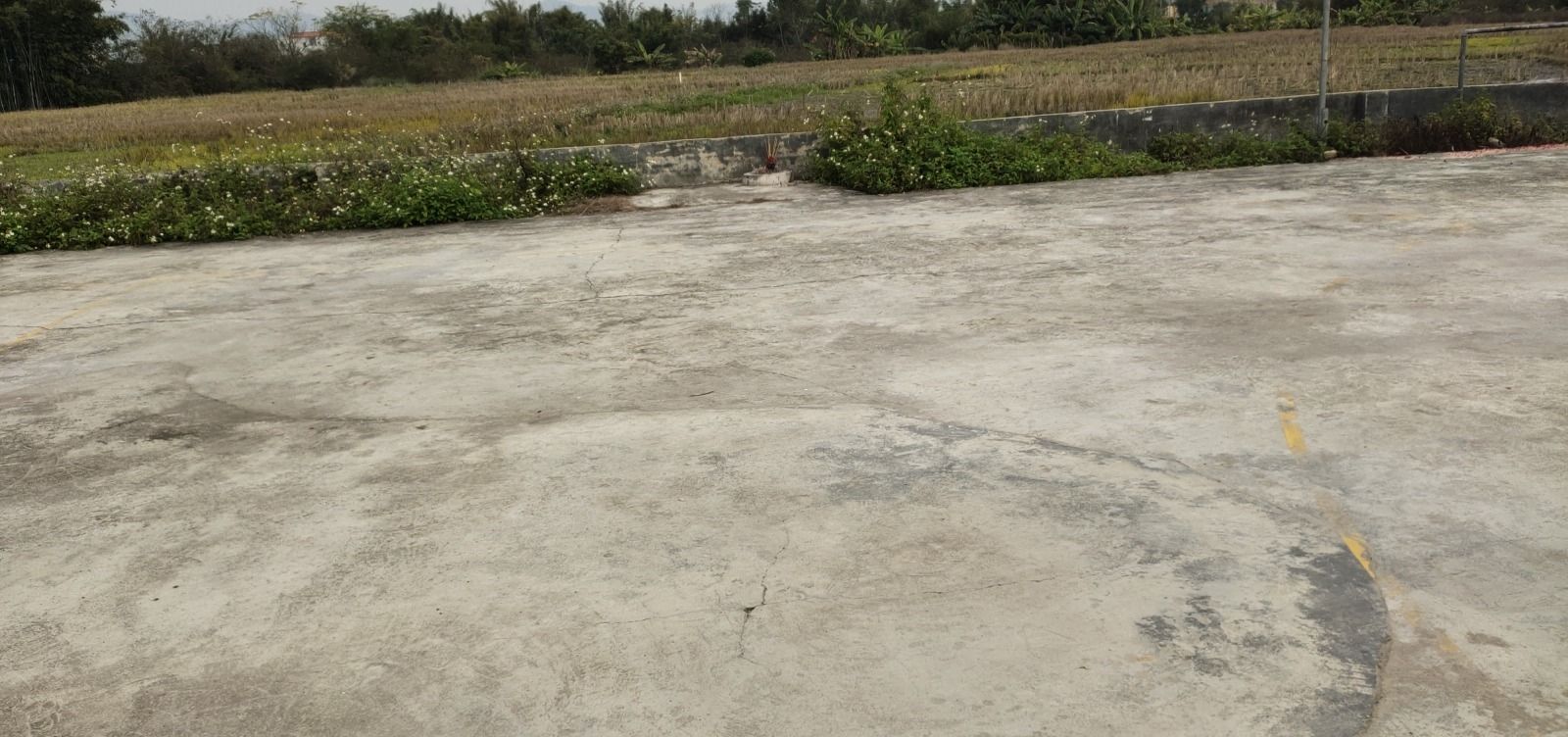 和兴卢公祠旅行图片 1