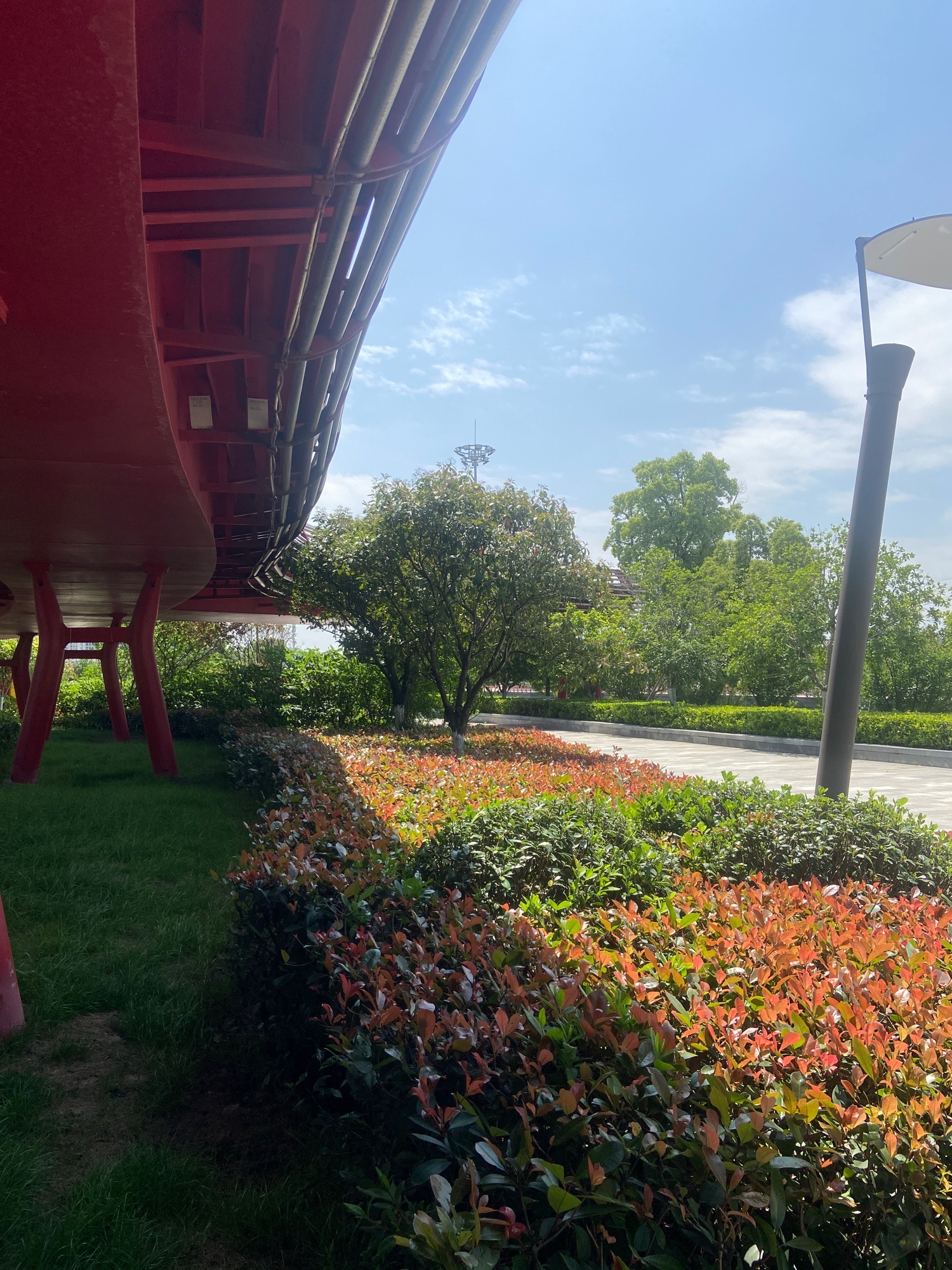 西溪湿地公园旅行图片 1