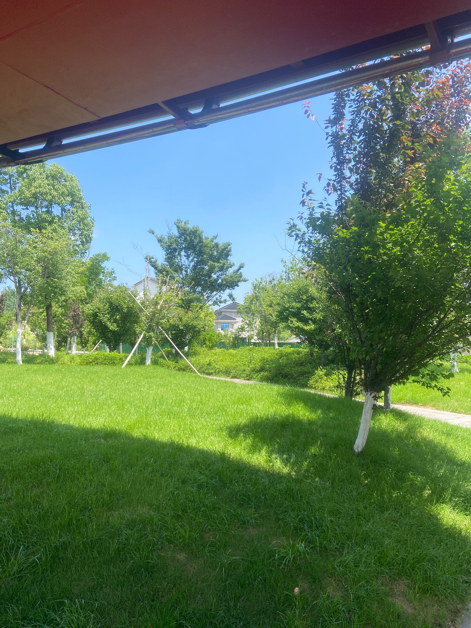 西溪湿地公园旅行图片 2