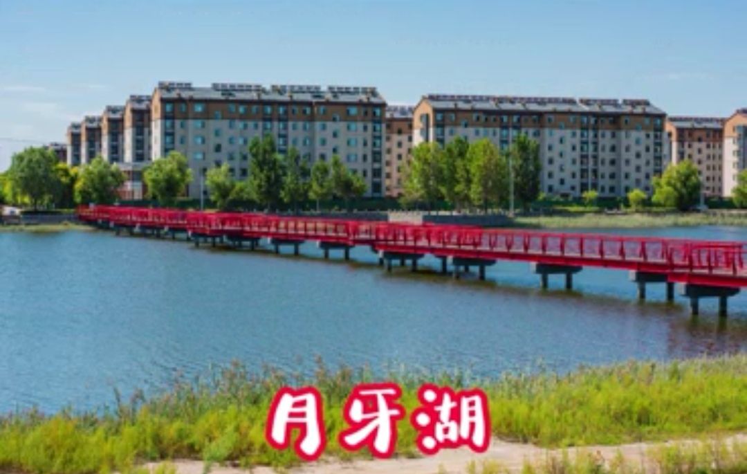 昌邑月牙湖滨海湿地公园旅行图片 1