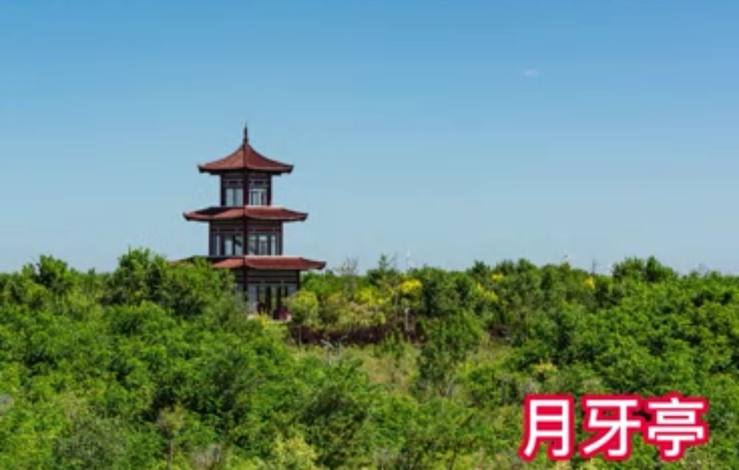 昌邑月牙湖滨海湿地公园旅行图片 3