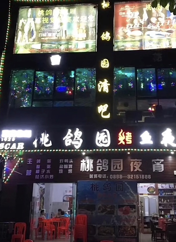 桃鸽园饭店夜宵