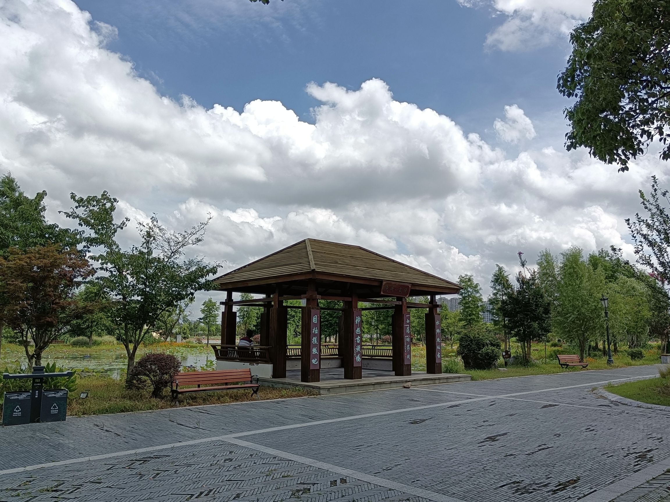 白荡湿地保护区旅行图片 3