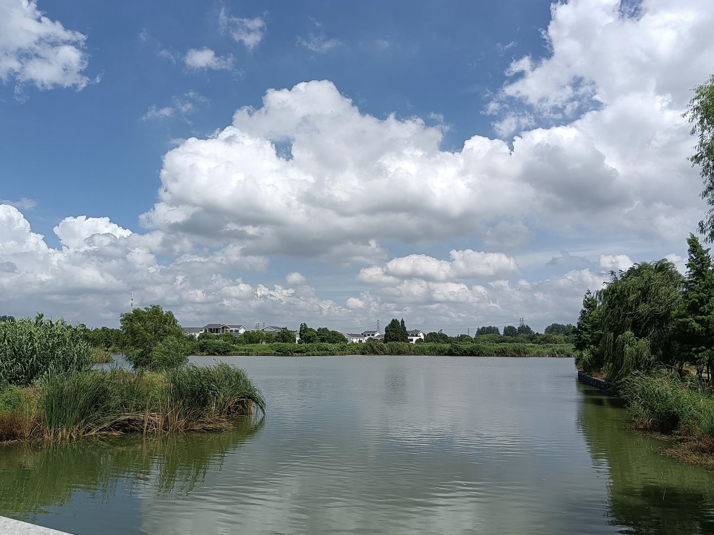 白荡湿地保护区旅行图片 1