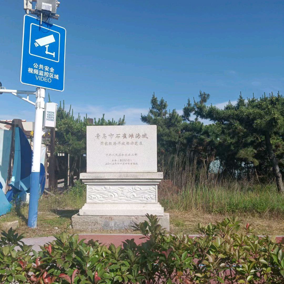 石雀沙滩旅行图片 1