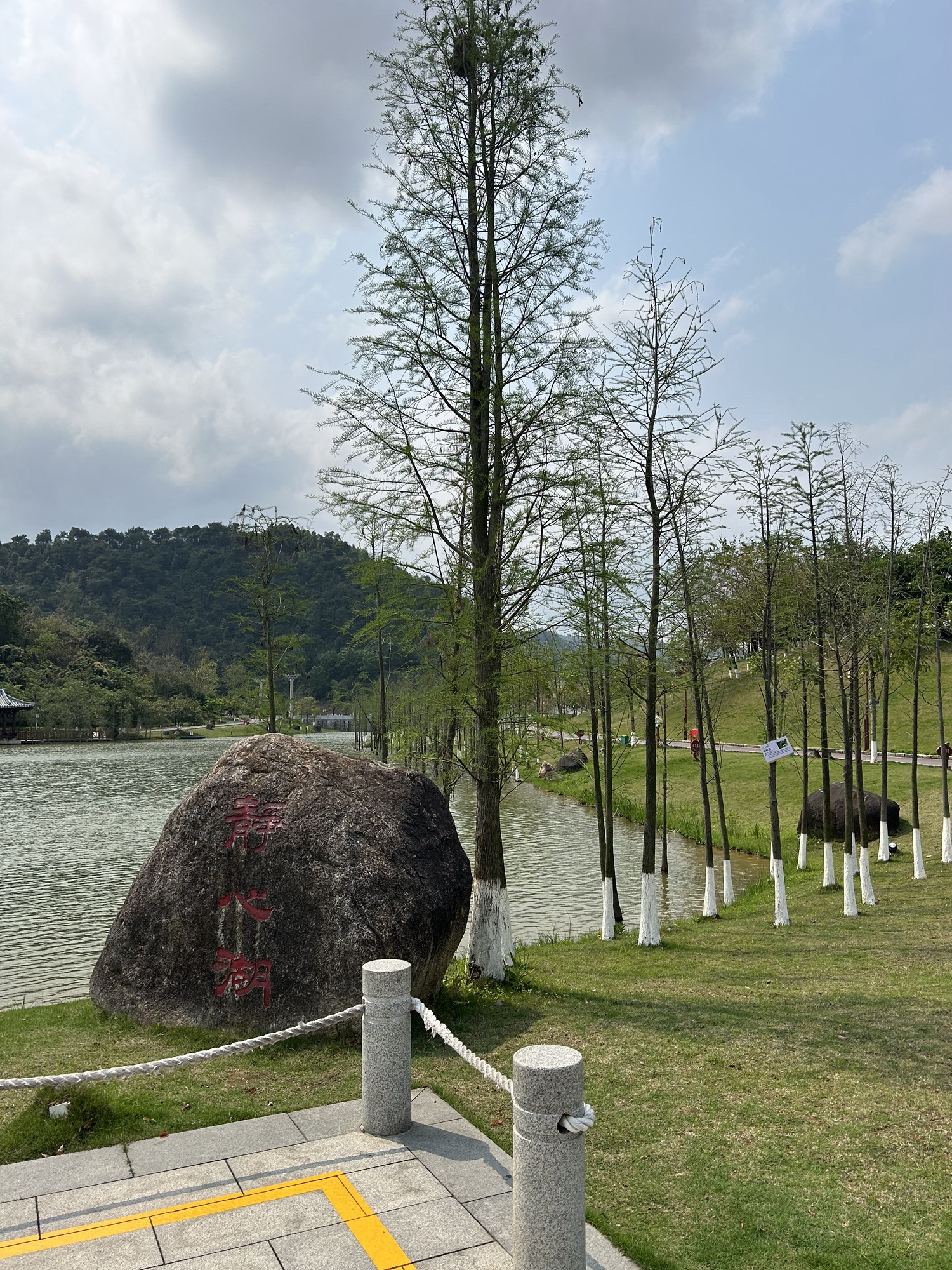 金台山智慧公园旅行图片 2