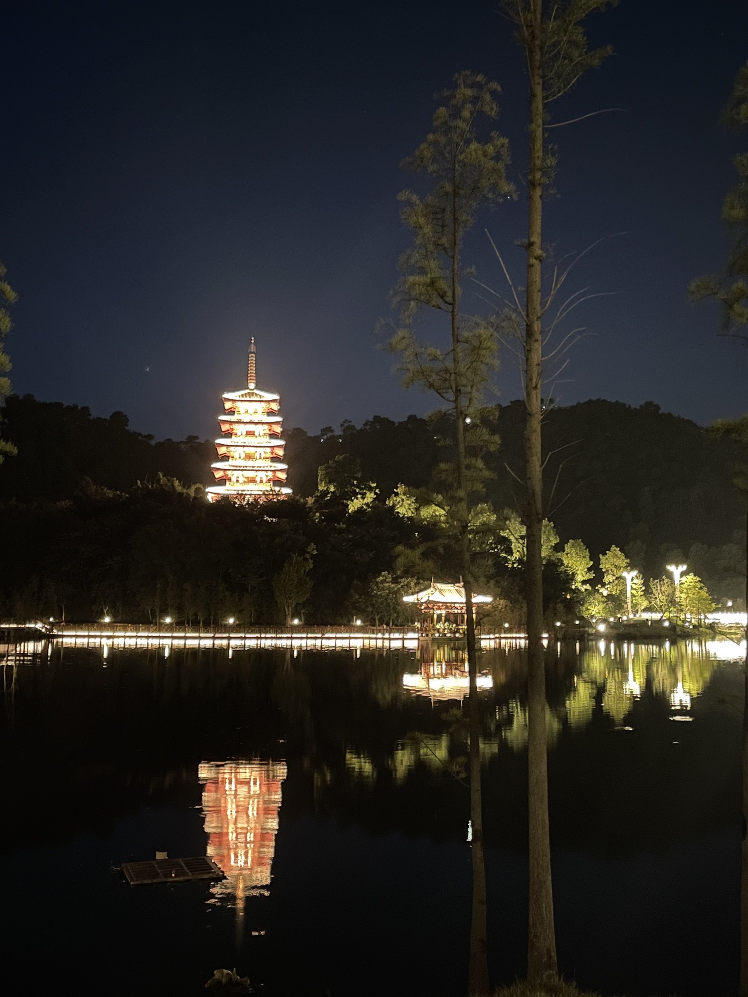 金台山智慧公园旅行图片 1