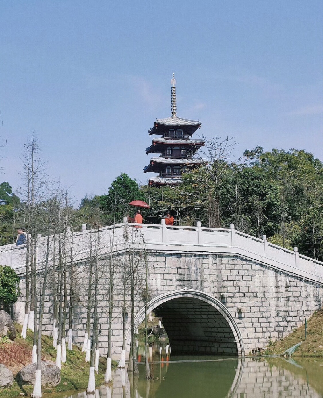 金台山智慧公园旅行图片 1