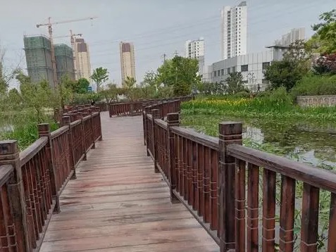 孟家湾湿地公园旅行图片 1