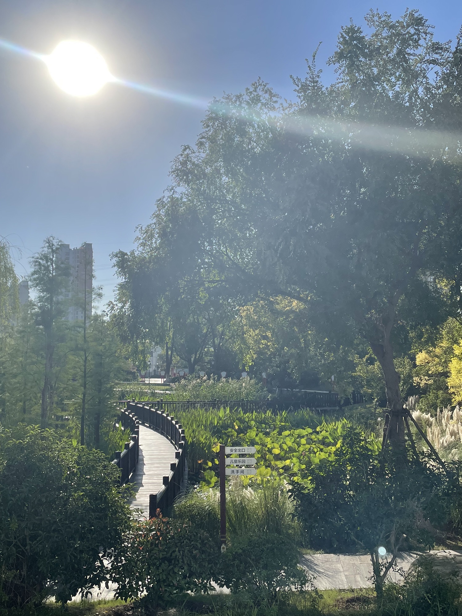 孟家湾湿地公园旅行图片 3