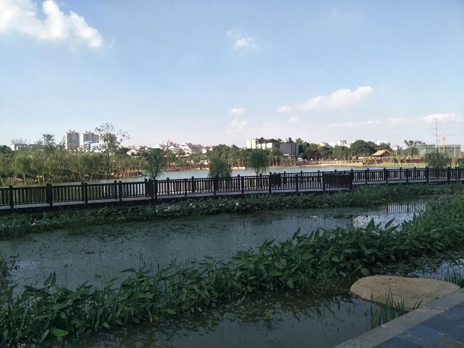 孟家湾湿地公园旅行图片 3