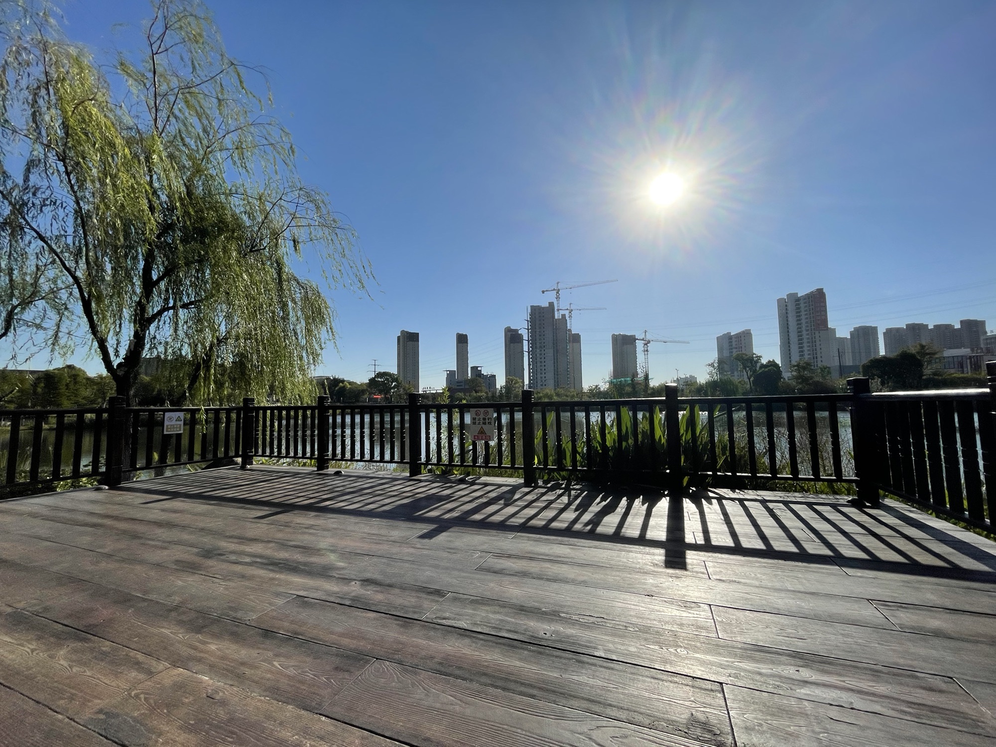 孟家湾湿地公园旅行图片 2