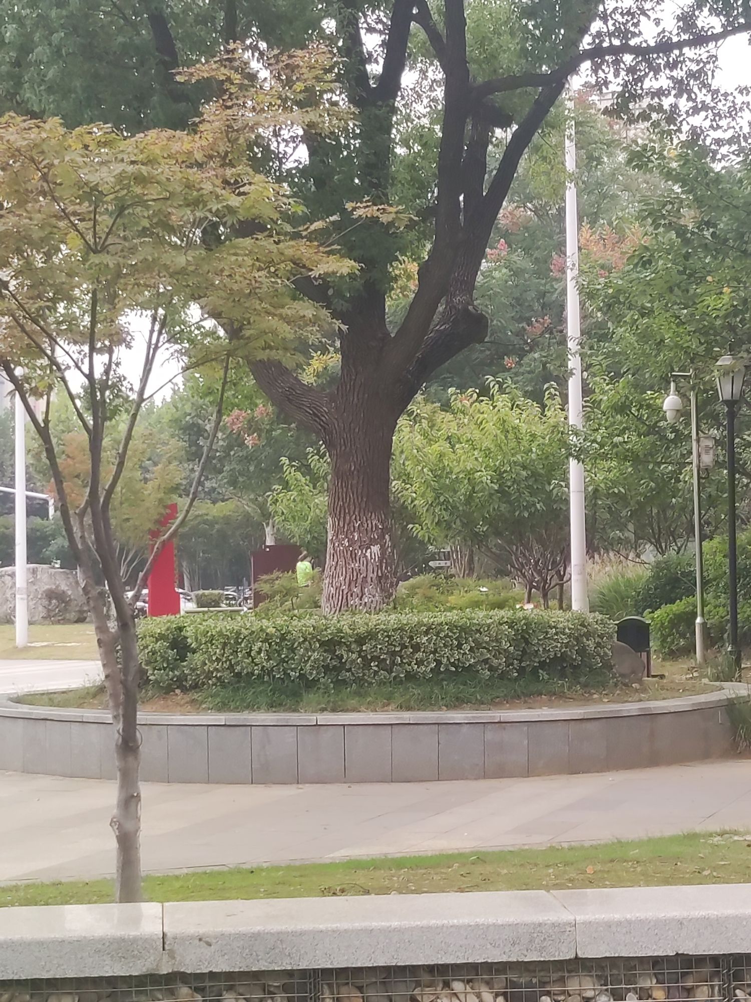 孟家湾湿地公园旅行图片 3