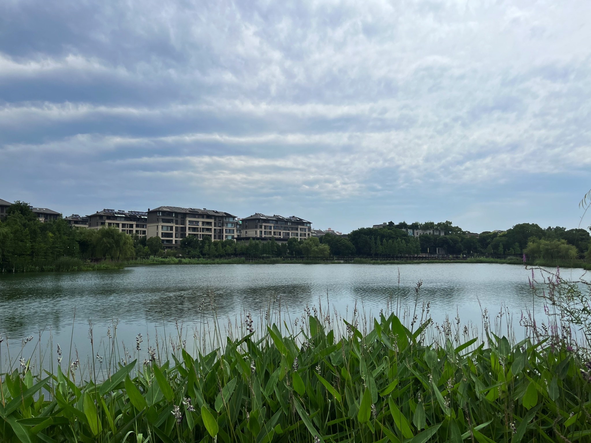 孟家湾湿地公园旅行图片 1