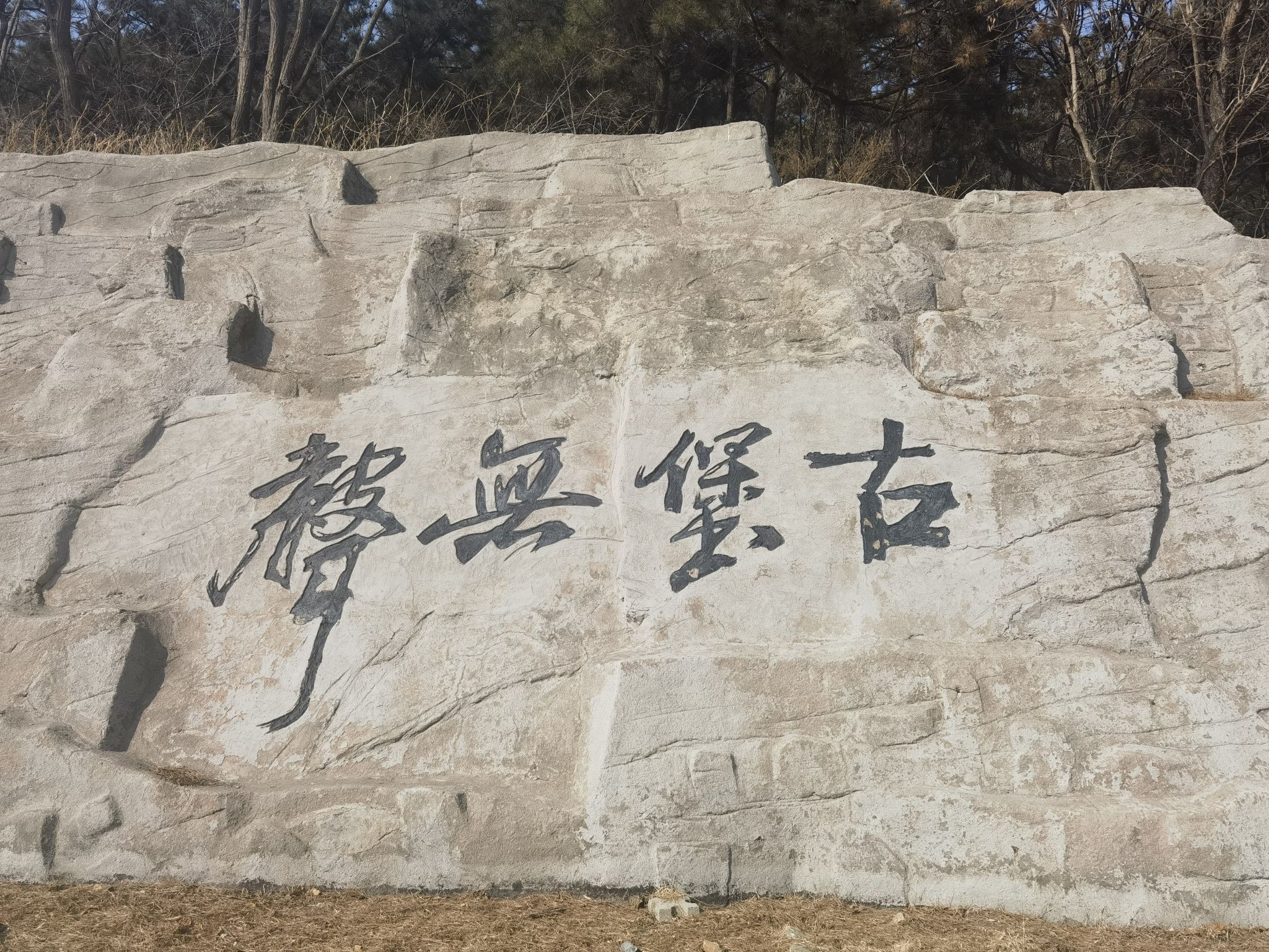 西炮台旅行图片 2