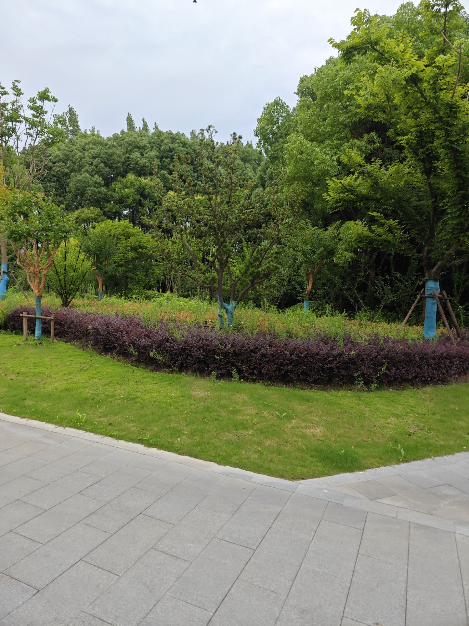 法治文化主题公园旅行图片 3