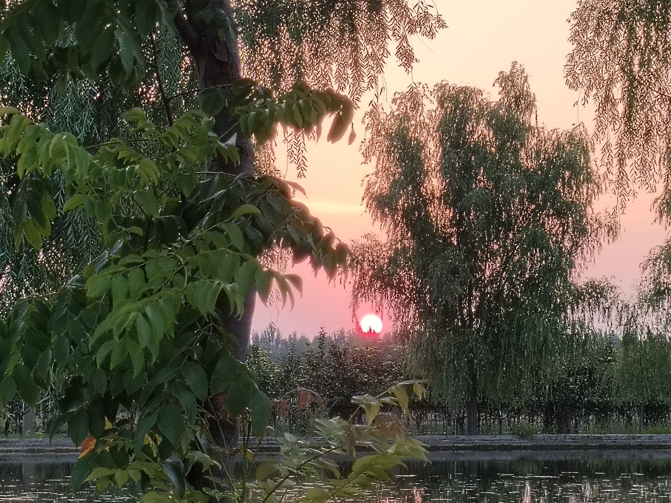 印象云南生态城旅行图片 3