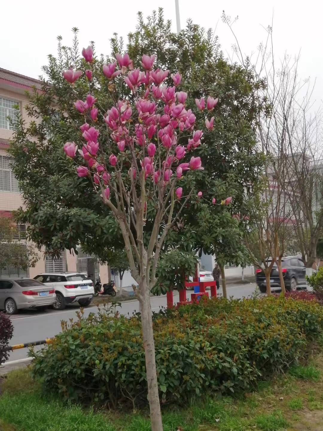 慈利放马洲公园旅行图片 3