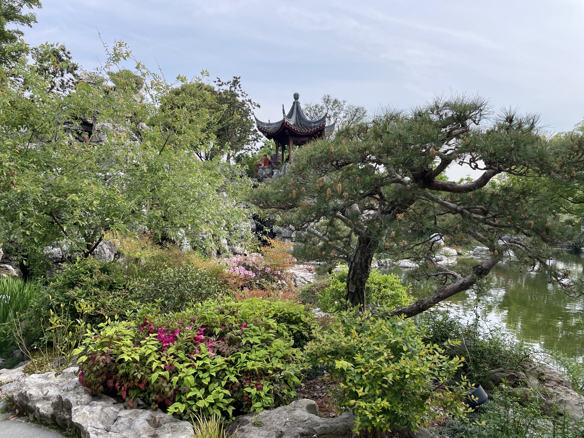 世博文化公园旅行图片 1