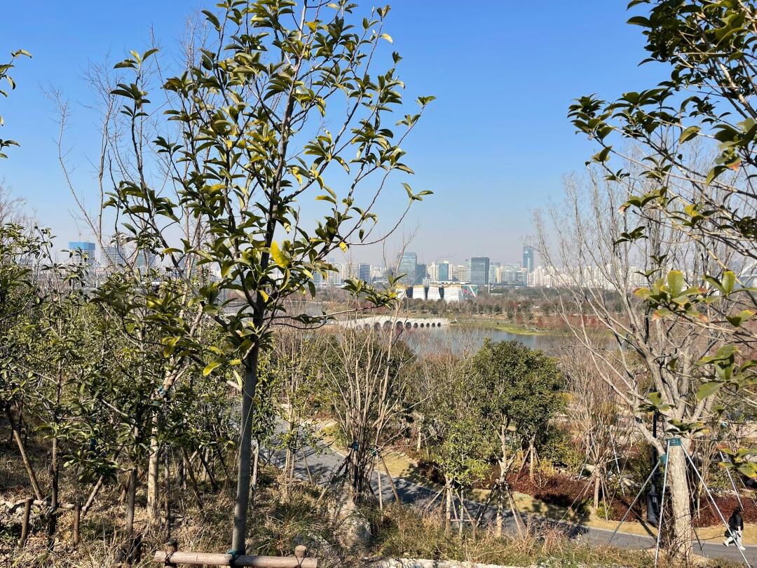 世博文化公园旅行图片 1