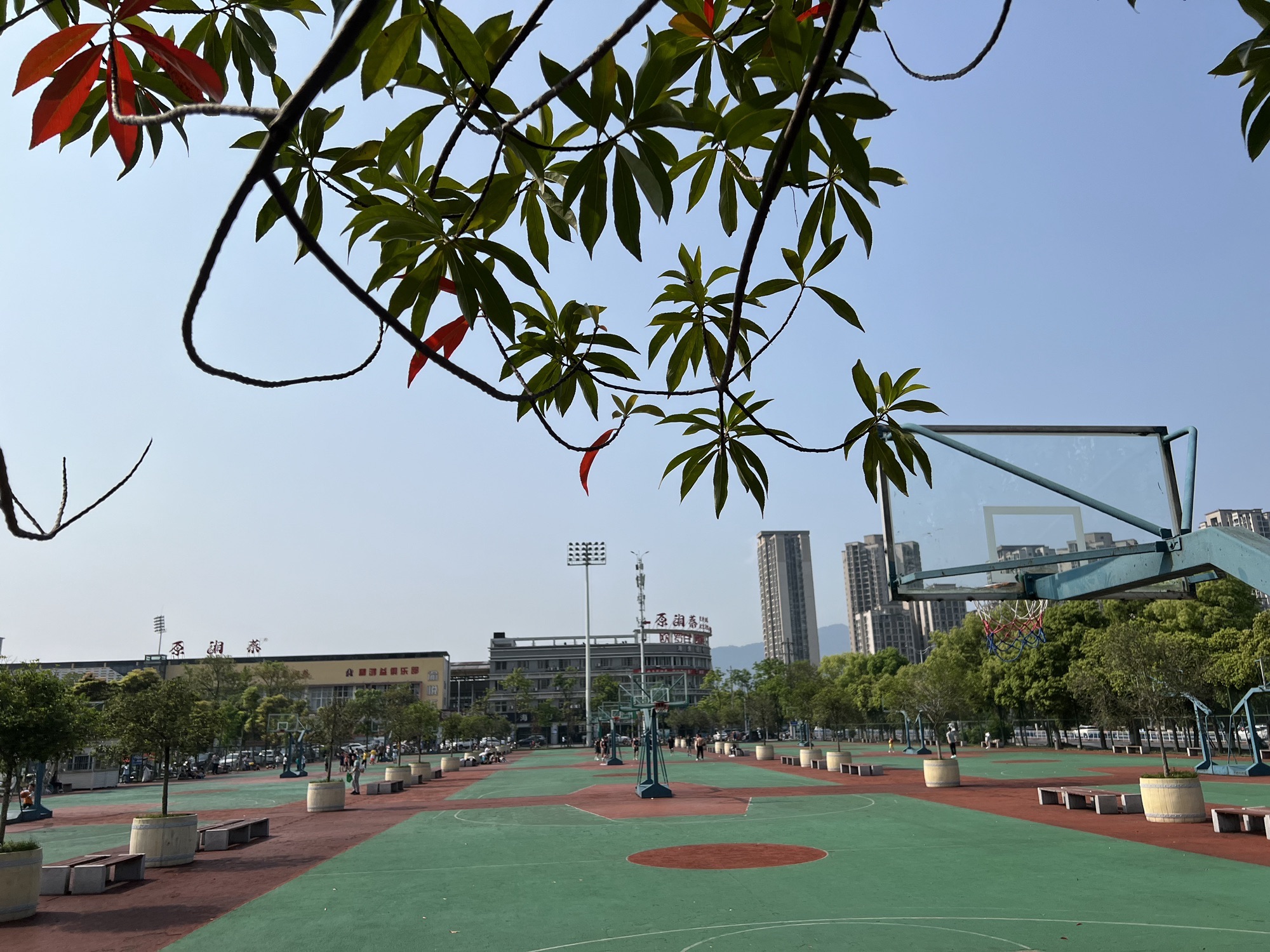 铜梁全民健身中心体育健康主题公园旅行图片 3
