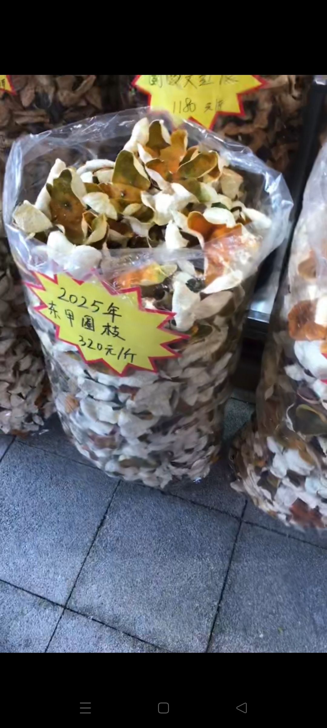 新会陈皮村牌坊旅行图片 3