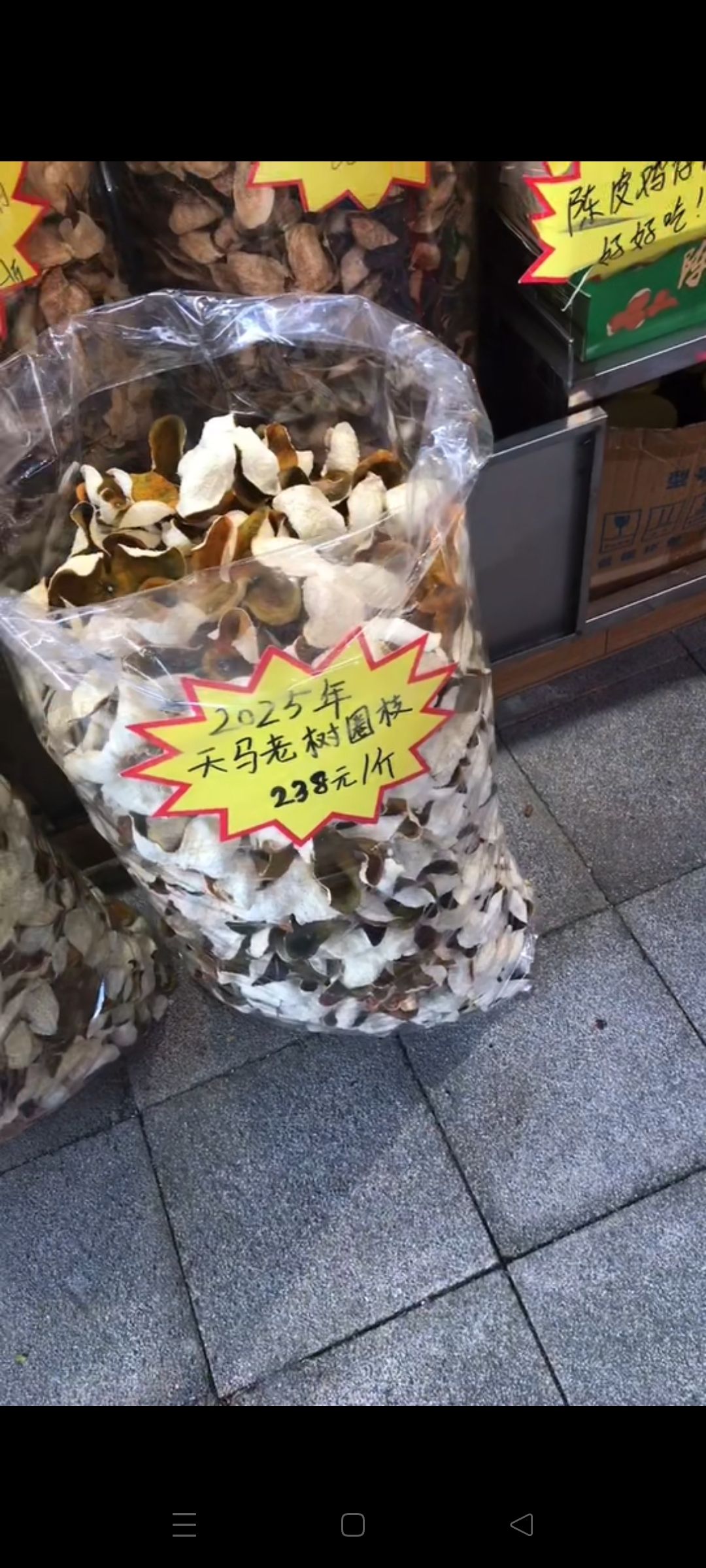 新会陈皮村牌坊旅行图片 1