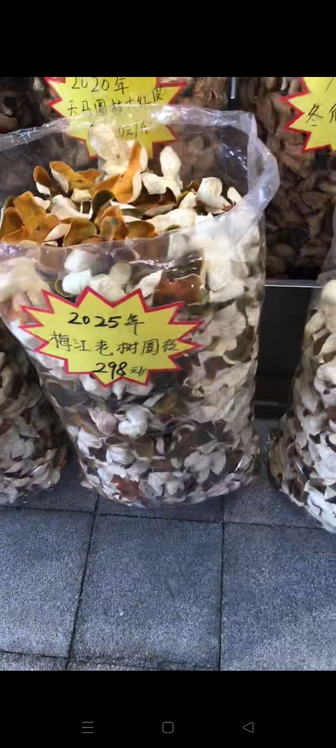 新会陈皮村牌坊旅行图片 2