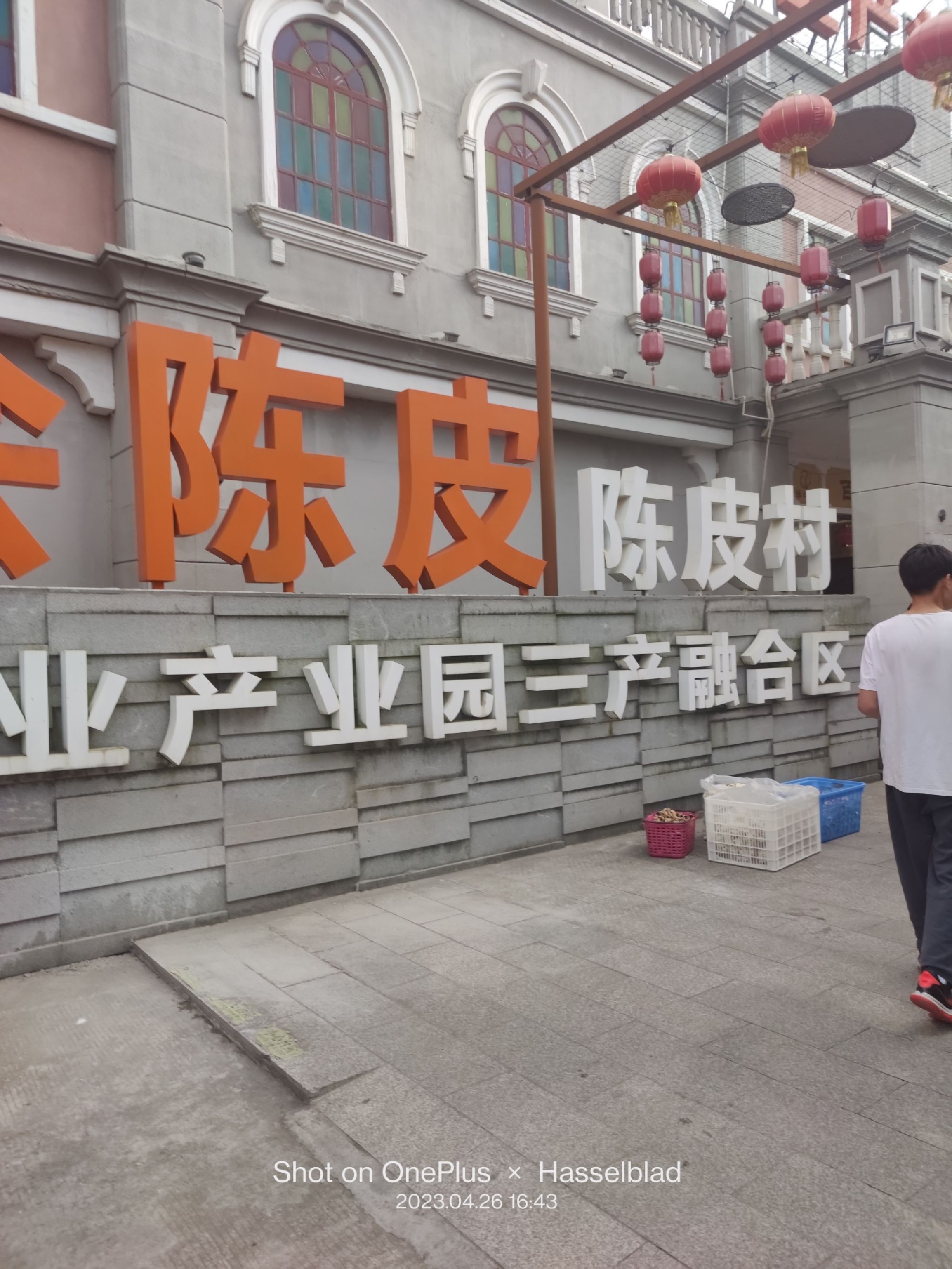 新会陈皮村牌坊旅行图片 1